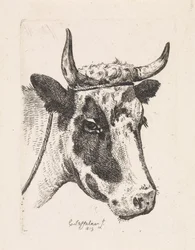 Cabeza de vaca manchada Primera suite (título de la serie)