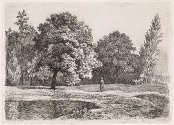 Paisaje con árboles, lago y mujer. Quinta suite (título de la serie)