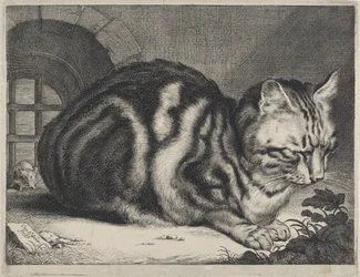 el gato grande