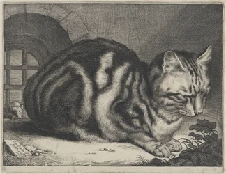 El gato grande
