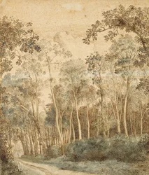 Paisaje boscoso