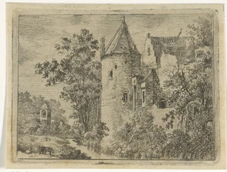 castillo el pelo
