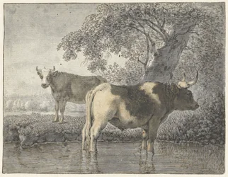 Dos vacas bajo un árbol junto al agua