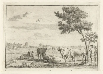 Cinco vacas en un prado
