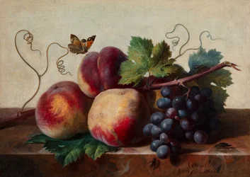 Bodegón de melocotones y uvas sobre una mesa de mármol con una mariposa y otros insectos
