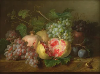 Bodegón de granadas, uvas y ciruelas en un borde de mármol