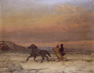 Trineo en la nieve