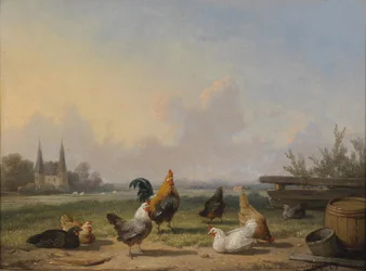 Pollos frente a un vasto paisaje