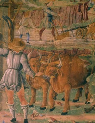 Cuadros de la vida en el campo, detalle del Triunfo de Ceres, escena del Mes de Agosto, atribuido a Cosimo Tura (circa 1430-1495) y al Maestro de Ercole, fresco, pared norte, Salón de los Meses, Palacio Schifanoia (Palacio de la Alegría), Ferrara, Italia, 