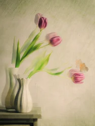 Tulipanes de ensueño y una mariposa