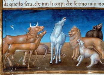 El fin del mundo: Y las estrellas caerán del cielo y los animales tendrán miedo (c.149v). 1476