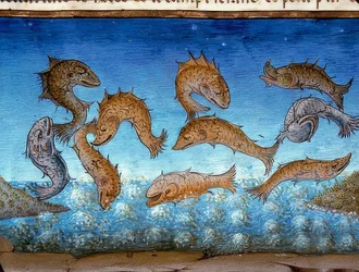 El fin del mundo: los peces nadarán arriba (c.147r). 1476