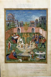 Influencia de Venus: el jardín del amor y la fuente de la juventud (miniatura, c.1470)