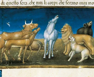 “Las estrellas caerán del cielo ante los ojos de los animales” (miniatura) Miniatura de Cristoforo De Predis (1440-1486)