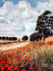 Amapolas silvestres, Hertfordshire, 2010