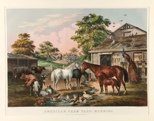 American Farm Yard - Mañana