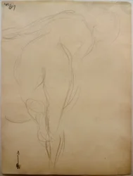Desnudo femenino de espaldas