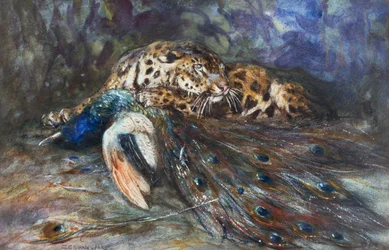 Jaguar con pavo real