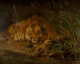 Tigre y presa, 1931