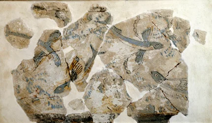 Arte cicládico: fragmento de un fresco que representa peces voladores (golondrinas de mar). Procedente del yacimiento de Filacopí (isla de Milo), 2500 a. C. Dimensiones: 23 cm. Atenas, Museo Arqueológico Nacional