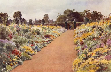 The Double Borders en East Garden, Sandringham (litografia en color)