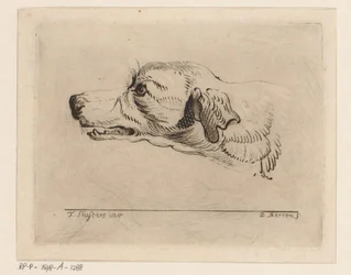 cabeza de un perro