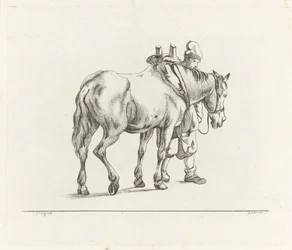 Hombre caminando junto a un caballo