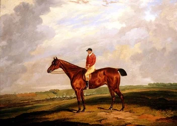 Caballo de carreras con jinete