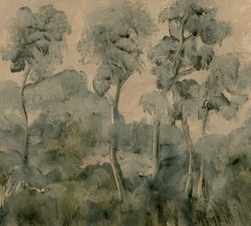 El bosque olvidado