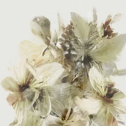 Flores de la colina