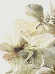 Flores de la colina 1