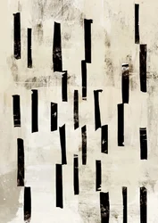 Líneas minimalistas