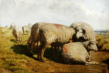 Un grupo de ovejas