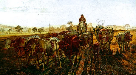 Vacas volviendo a casa