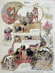 Representación alegre y humorística de perros en una exposición canina