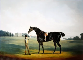 Un caballo y un mozo en los terrenos de Hooton Hall, Cheshire