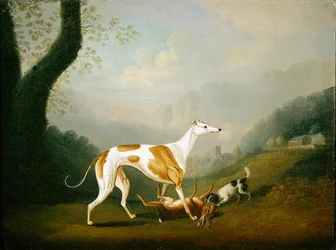 Galgo con un Cachorro de Spaniel y Liebre Muerta
