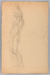 Dibujo, Estudio anatómico de varón, ca. 1850
