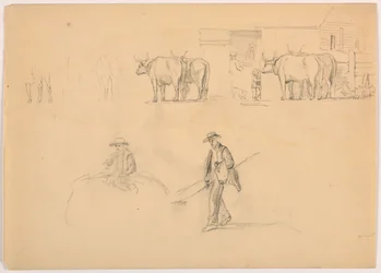 Dibujo, Corral; figuras y bueyes, 1878