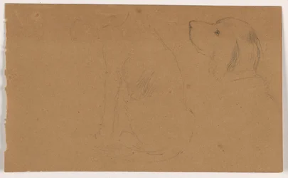 Dibujo, Dash (un Setter), Cabeza y cuerpo, ca. 1862