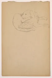 Dibujo, Dash (un Setter), ca. 1862