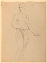Dibujo, Sra. Henry Schieffelin, S, 1881