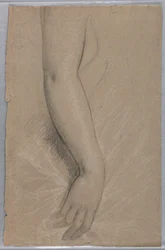 Dibujo, Sra. Rutherford B Hayes, 1880