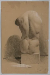 Torso Masculino de un Molde de Yeso