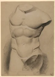 Torso masculino de un molde de yeso