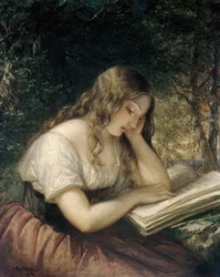 Estudio en un bosque