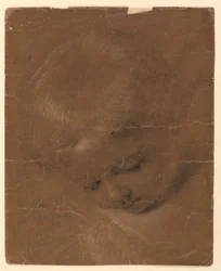 Estudio de la cabeza de un niño
