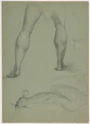 Dos estudios anatómicos parciales