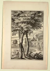 Placa en Nouveaux Livre de Paysages (Nuevo libro de paisajes)