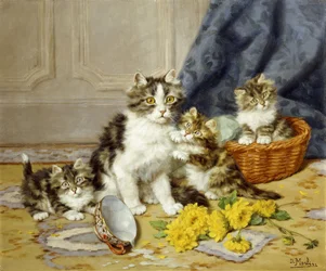Gatitos juguetones
